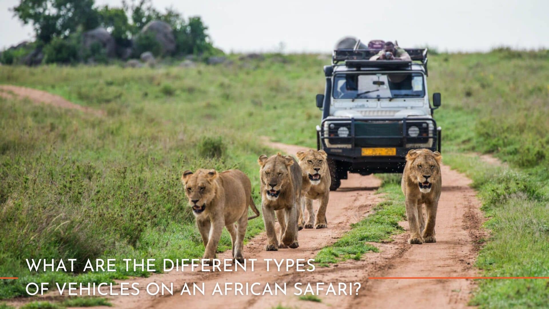 What are the different types of vehicles on an african safari